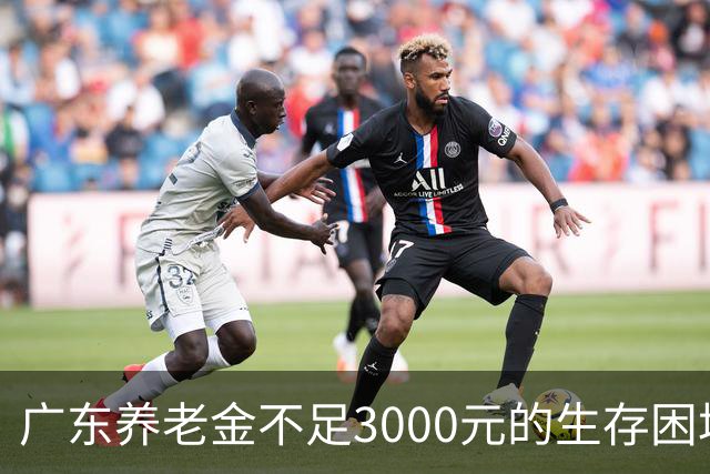 广东养老金不足3000元的生存困境与应对策略分析