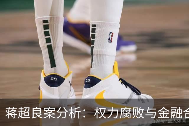 蒋超良案分析：权力腐败与金融合作的交织